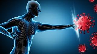 Bağışıklığımızı güçlendirmek buralardan geçiyor