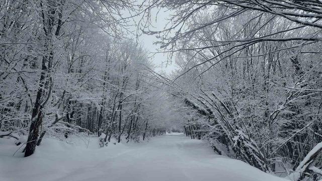 Lapa lapa kar altında adrenalin dolu yolculuk 4