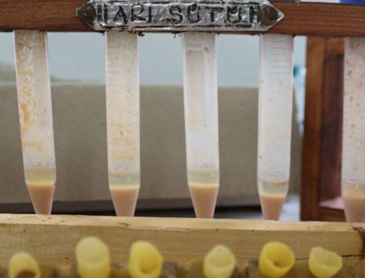 Bu sütün kilosu 20 bin lira G5