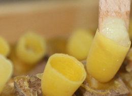 Bu sütün kilosu 20 bin lira