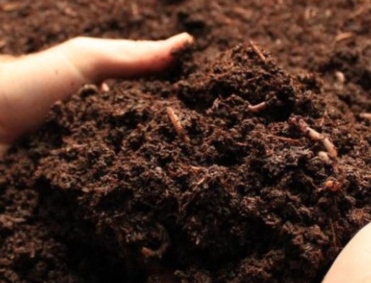 Solucanla gübre işine girdiler, yoğun ilgi gördüler G5