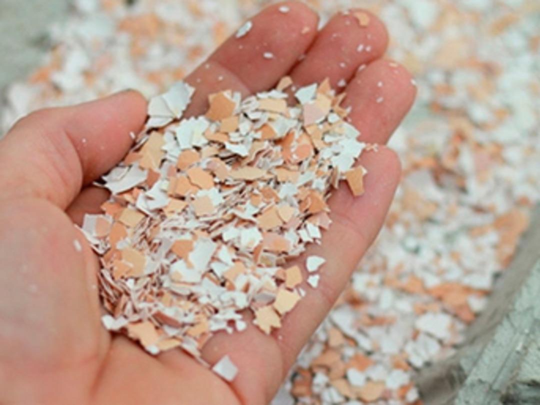 Yumurta kabuğundan kağıt &uuml;rettiler