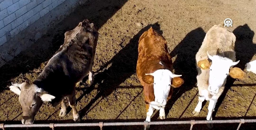 İnternette g&ouml;r&uuml;p başvurdu, işi b&uuml;y&uuml;tt&uuml;  &Ccedil;ok b&uuml;y&uuml;k fırsat olacağını d&uuml;ş&uuml;nd&uuml;m  4