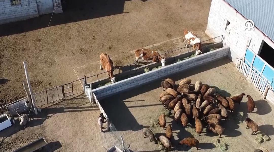 İnternette g&ouml;r&uuml;p başvurdu, işi b&uuml;y&uuml;tt&uuml;  &Ccedil;ok b&uuml;y&uuml;k fırsat olacağını d&uuml;ş&uuml;nd&uuml;m  2