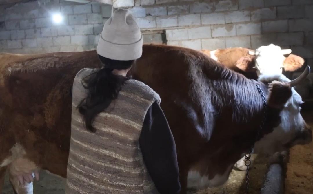 İnternette g&ouml;r&uuml;p başvurdu, işi b&uuml;y&uuml;tt&uuml;  &Ccedil;ok b&uuml;y&uuml;k fırsat olacağını d&uuml;ş&uuml;nd&uuml;m  7