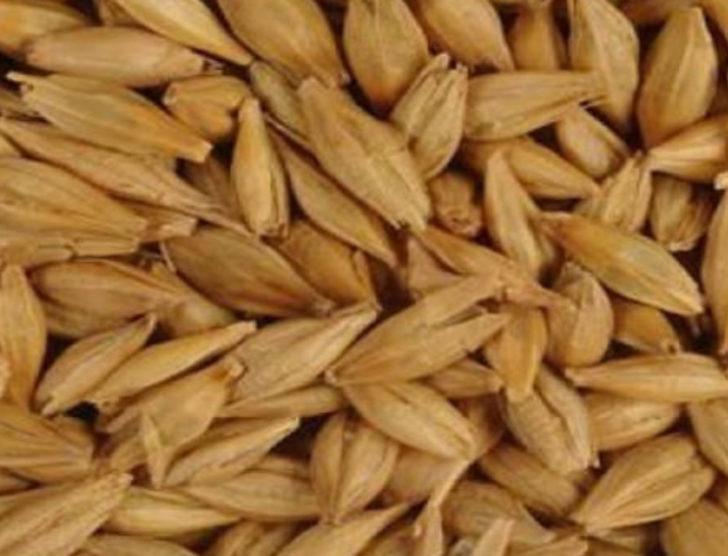 2016'da buna para yatıran köşeyi döndü G3