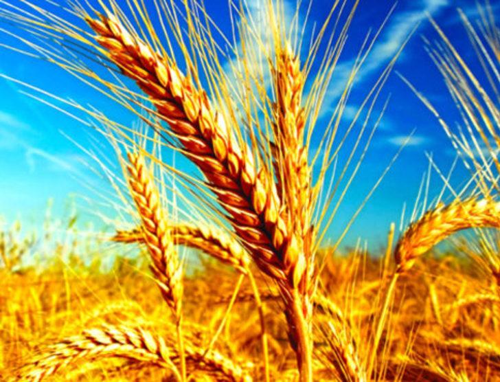 2016'da buna para yatıran köşeyi döndü G4