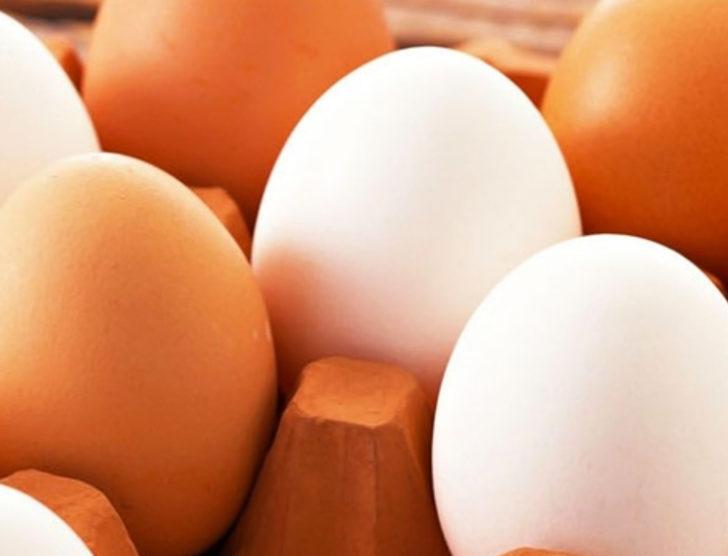Kahverengi yumurtanın fiyatı beyazı solladı G5
