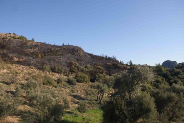 Antalya&rsquo;daki orman yangınında zararın boyutu g&uuml;nd&uuml;z ortaya &ccedil;ıktı: 2 hektar zarar g&ouml;rd&uuml; 5