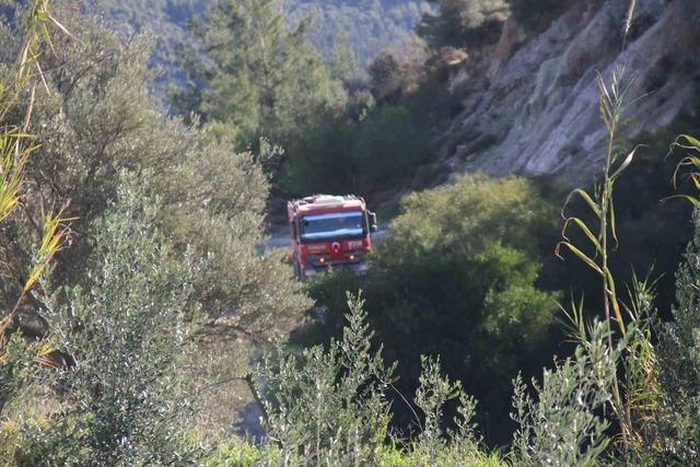 Antalya&rsquo;daki orman yangınında zararın boyutu g&uuml;nd&uuml;z ortaya &ccedil;ıktı: 2 hektar zarar g&ouml;rd&uuml; 4