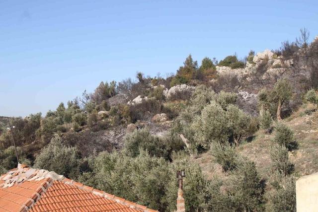 Antalya&rsquo;daki orman yangınında zararın boyutu g&uuml;nd&uuml;z ortaya &ccedil;ıktı: 2 hektar zarar g&ouml;rd&uuml; 3