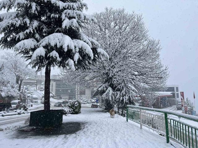 Artvin&rsquo;de kar yağışı etkisini s&uuml;rd&uuml;r&uuml;yor 4