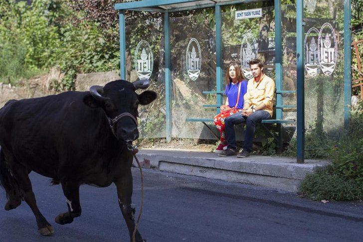 Baba Candır 9. Bölüm fotoğrafları G4