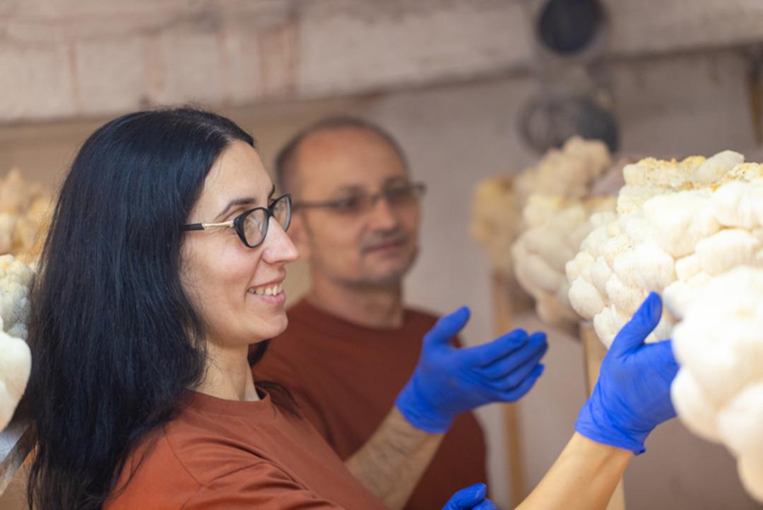 Doğada tesad&uuml;fen bulduğu mantarı, balkonda &uuml;retti: Kilosu 2 bin lira! 2
