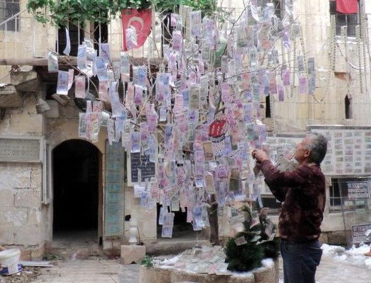 Piyango çıkmadı diye seviniyor G3