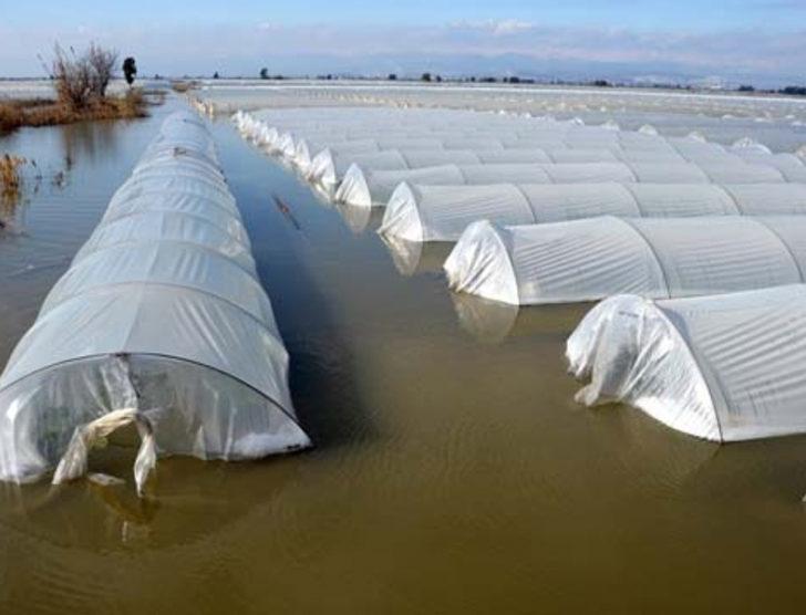 Sel suları altında kalan seralarda sandallarla hasat G4