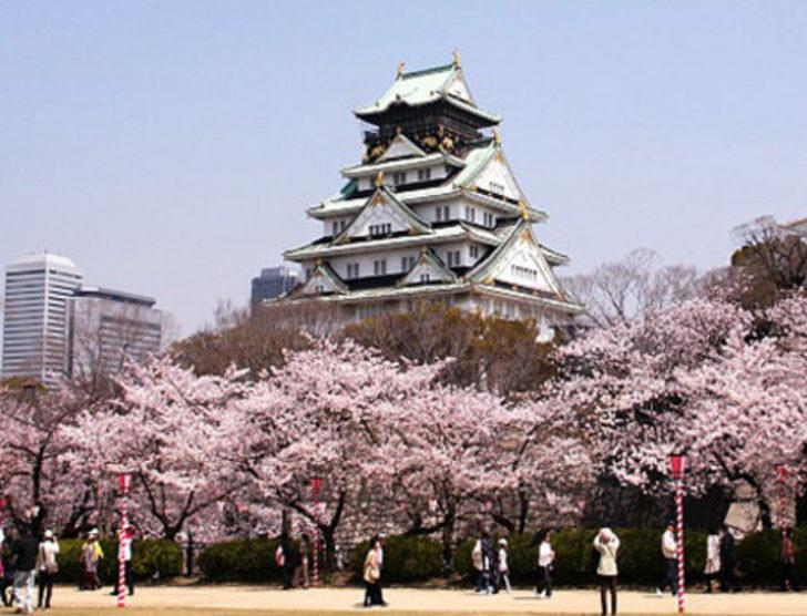 Храм каннон япония. Храм императора мэйдзи. Куда сходить в японии. Буддийский храм асакуса. Киото (город в японии).