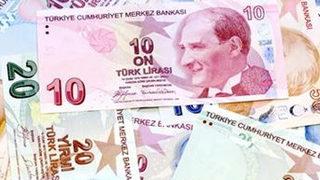 Türk Lirası'nı kim düşürüyor?