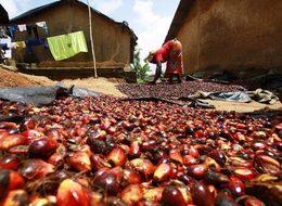 Palm yağı için Bakanlık'tan önemli açıklama