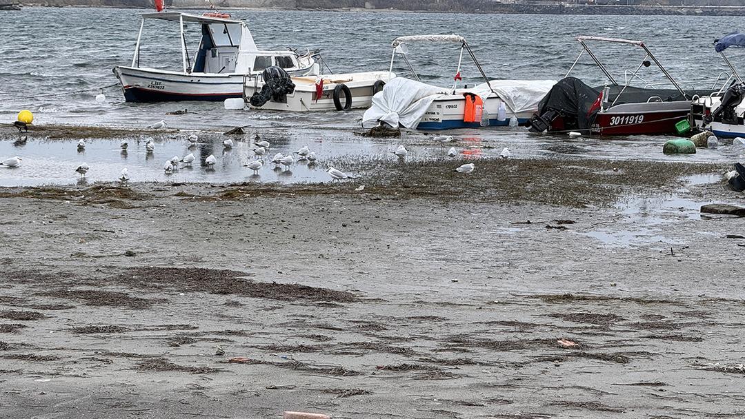 Deniz bir anda geri &ccedil;ekildi! Marmara ve Ege&rsquo;de tedirgin eden g&ouml;r&uuml;nt&uuml;: &ldquo;Tehlike mi var?&rdquo; 1