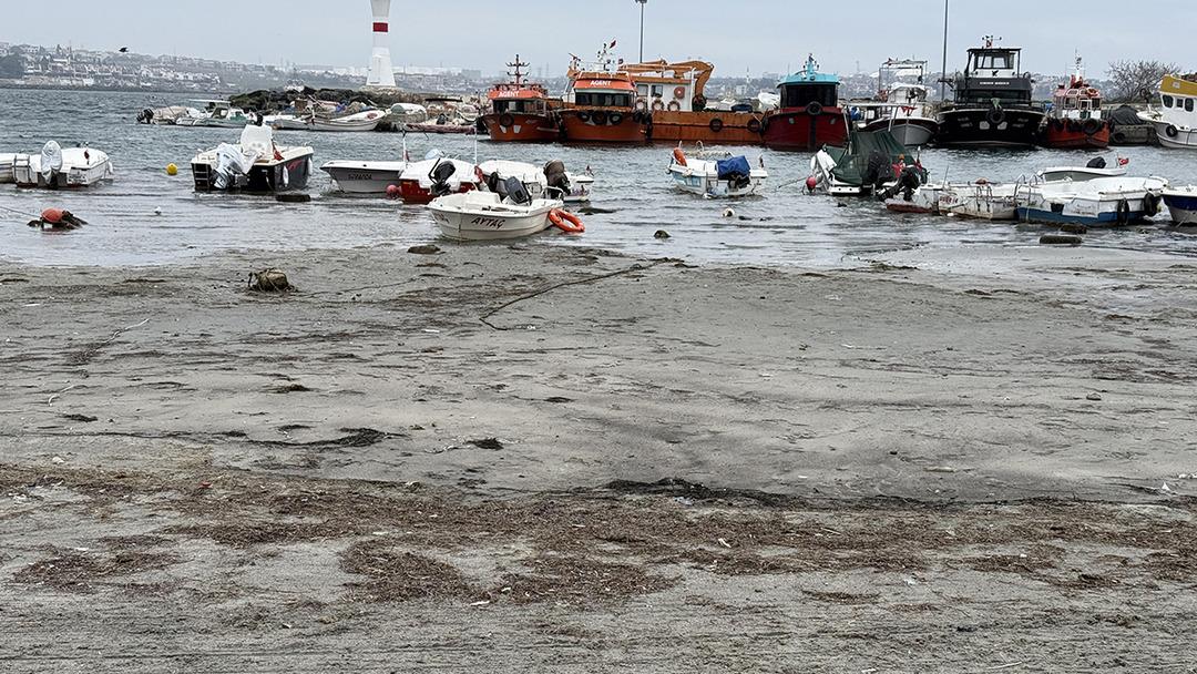 Deniz bir anda geri &ccedil;ekildi! Marmara ve Ege&rsquo;de tedirgin eden g&ouml;r&uuml;nt&uuml;: &ldquo;Tehlike mi var?&rdquo; 3