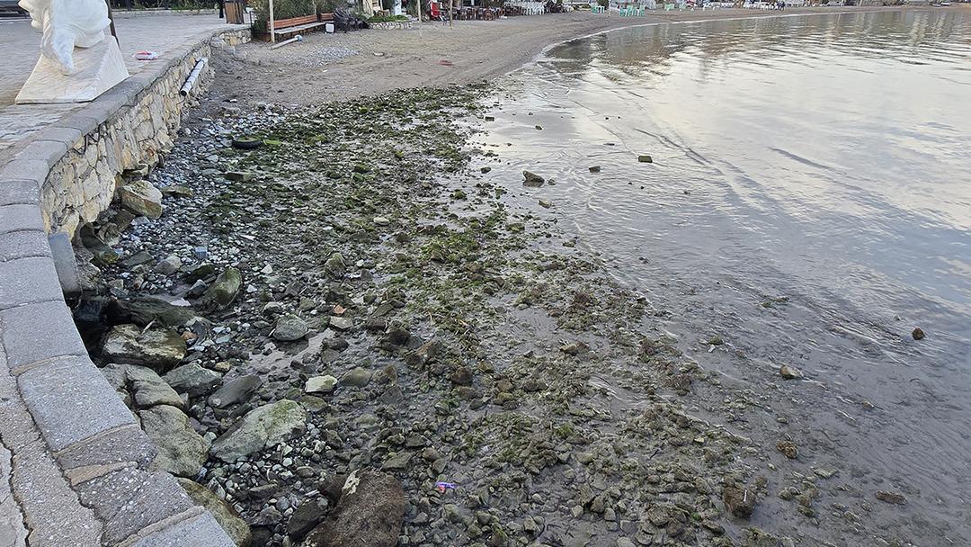 Deniz bir anda geri &ccedil;ekildi! Marmara ve Ege&rsquo;de tedirgin eden g&ouml;r&uuml;nt&uuml;: &ldquo;Tehlike mi var?&rdquo; 6