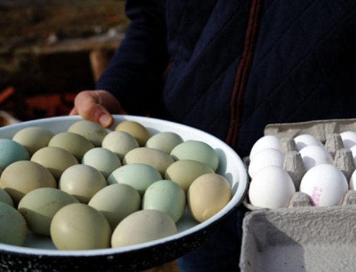 'Yeşil yumurtlayan tavuk' karaborsa oldu G5