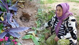 Babasının mezarındaki &ccedil;i&ccedil;ekleri s&ouml;k&uuml;p uyuşturucu sakladılar!