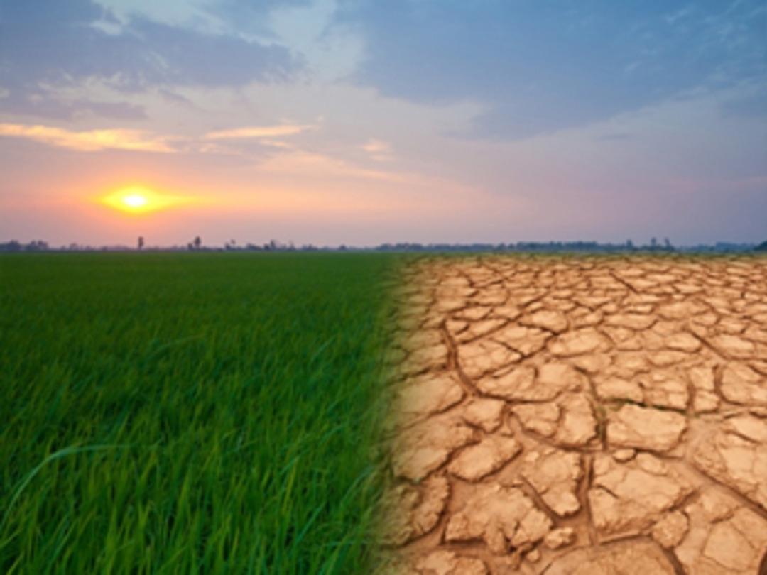 İklim değişikliği konusunda korkutan rapor