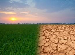 İklim değişikliği konusunda korkutan rapor