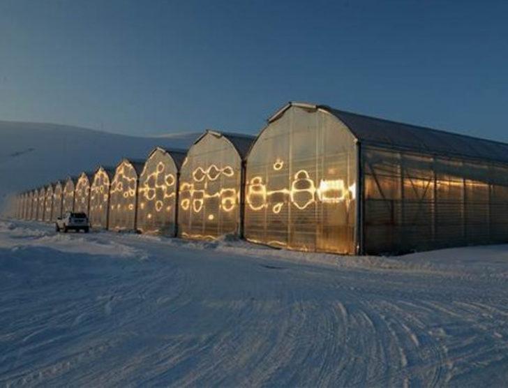 Eksi 40 derecede domates üretiyorlar G1