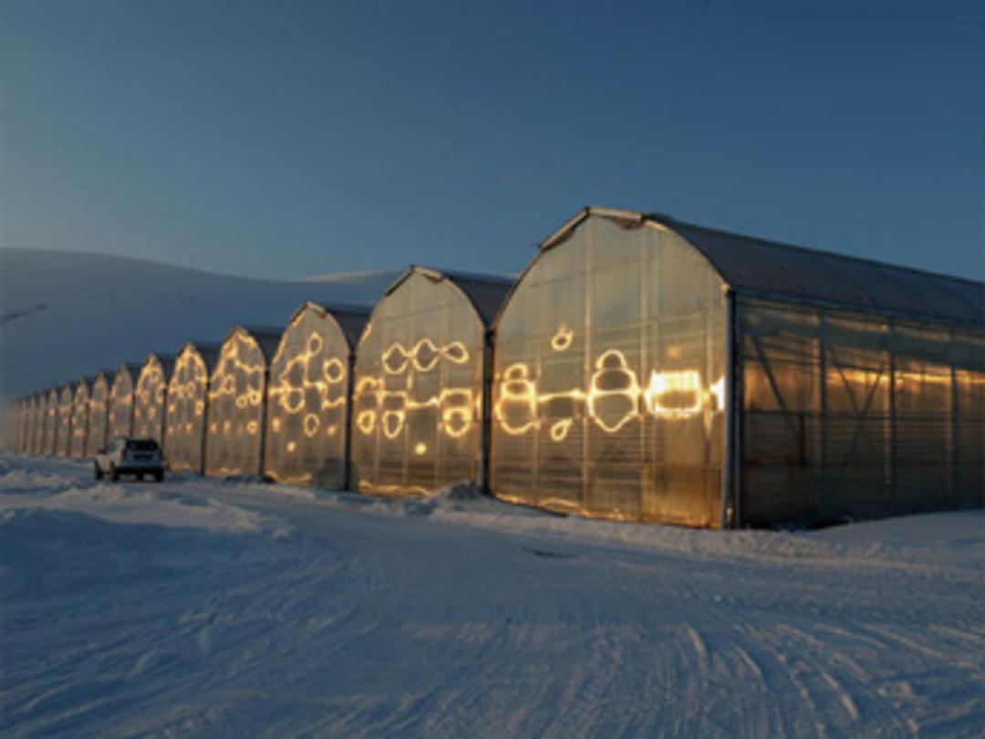 Eksi 40 derecede domates &uuml;retiyorlar