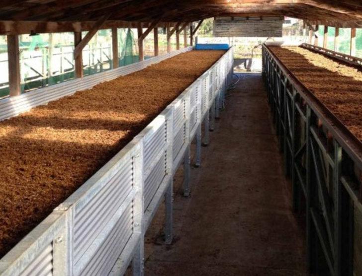 İşsiz genç solucan gübresi üretim tesisi kurdu G1