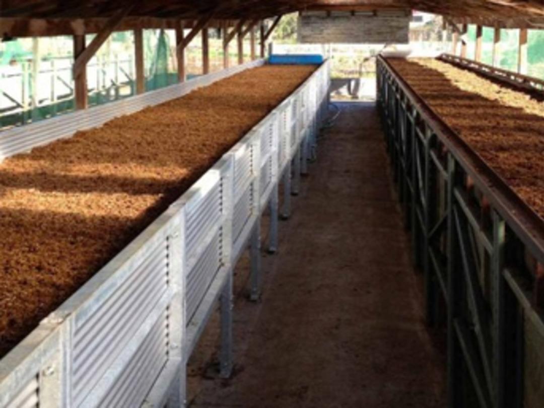 İşsiz gen&ccedil; solucan g&uuml;bresi &uuml;retim tesisi kurdu