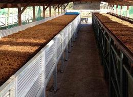 İşsiz genç solucan gübresi üretim tesisi kurdu