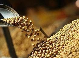 Leblebiye yüzde 36 zam