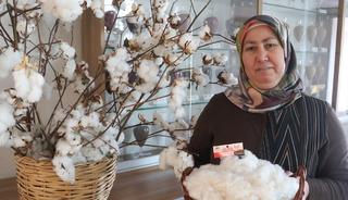 Emsallerine g&ouml;re daha erken hasat edilebiliyor! 'Yıllık 700 milyon lira katkı'