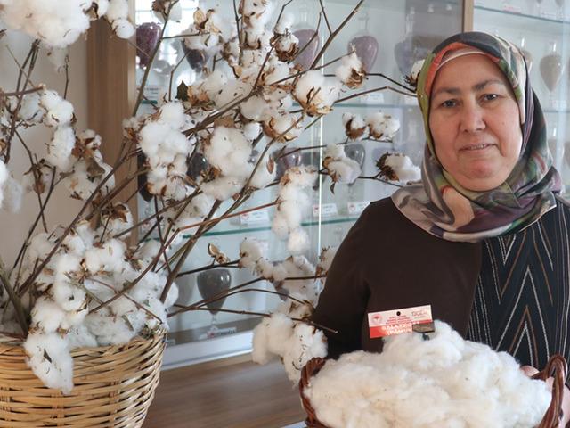 Emsallerine g&ouml;re daha erken hasat edilebiliyor! 'Yıllık 700 milyon lira katkı'