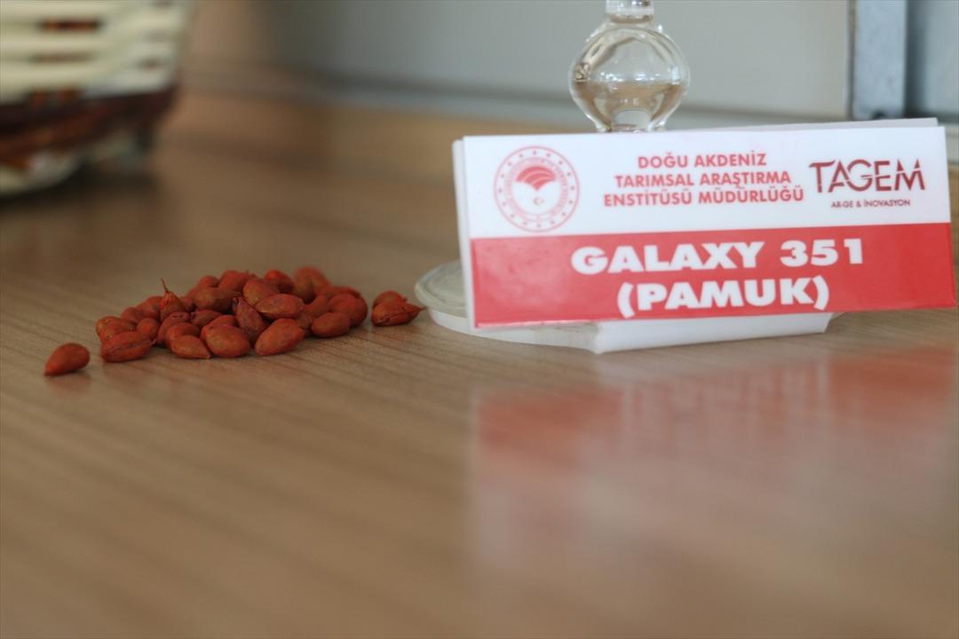 Emsallerine g&ouml;re daha erken hasat edilebiliyor!  Yıllık 700 milyon lira katkı  3