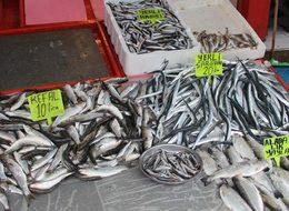 Olumsuz hava koşulları balık fiyatlarını artırdı