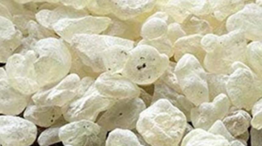 Damla sakızı yeni gelir kapısı olacak