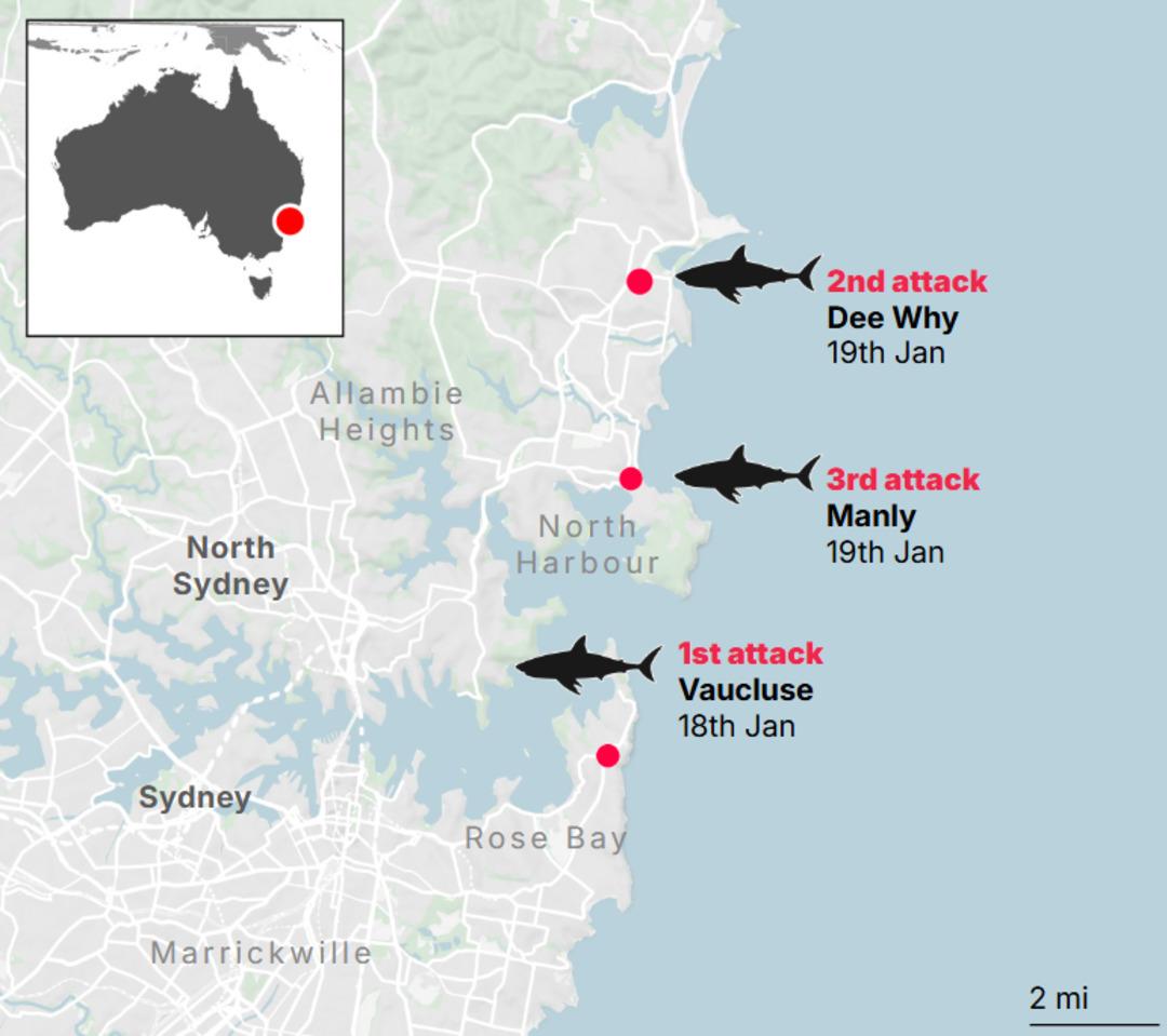 &Uuml;&ccedil; g&uuml;nde d&ouml;rt saldırı: Hepsi k&ouml;pek balıklarına yem oldu! 5