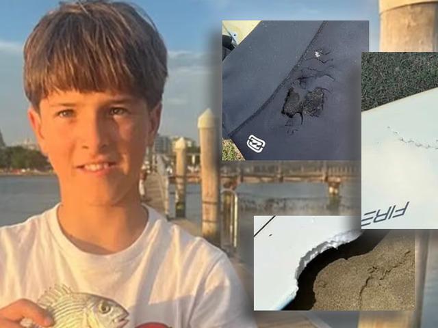 &Uuml;&ccedil; g&uuml;nde d&ouml;rt saldırı: Hepsi k&ouml;pek balıklarına yem oldu!