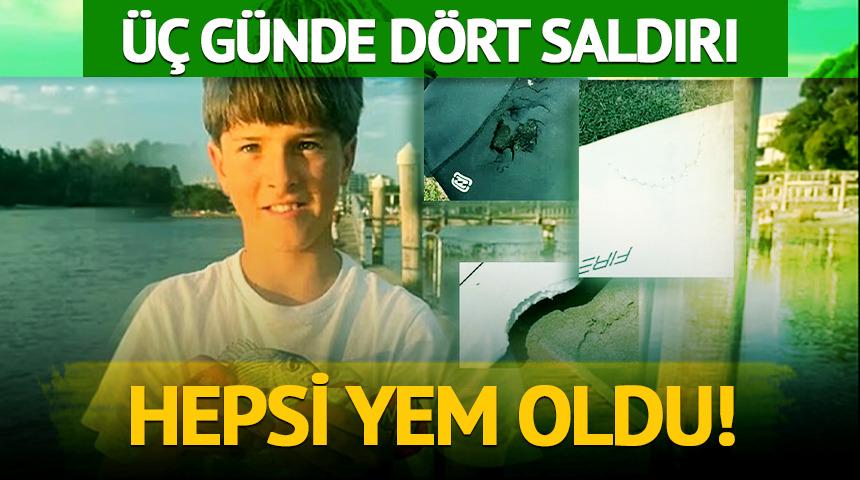 &Uuml;&ccedil; g&uuml;nde d&ouml;rt saldırı: Hepsi yem oldu!