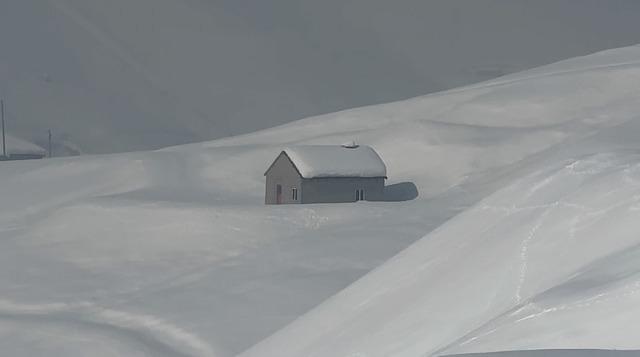Y&uuml;ksekova&rsquo;da &ccedil;ift&ccedil;ilere "kurt saldırısı" uyarısı 1