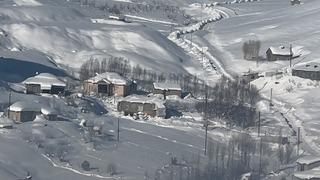 Yüksekova’da çiftçilere kurt saldırısı uyarısı