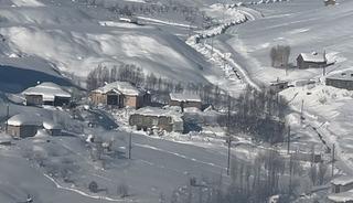 Y&uuml;ksekova&rsquo;da &ccedil;ift&ccedil;ilere "kurt saldırısı" uyarısı