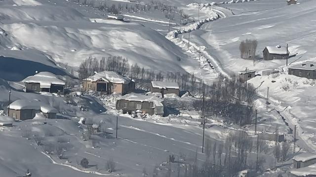 Yüksekova’da çiftçilere kurt saldırısı uyarısı