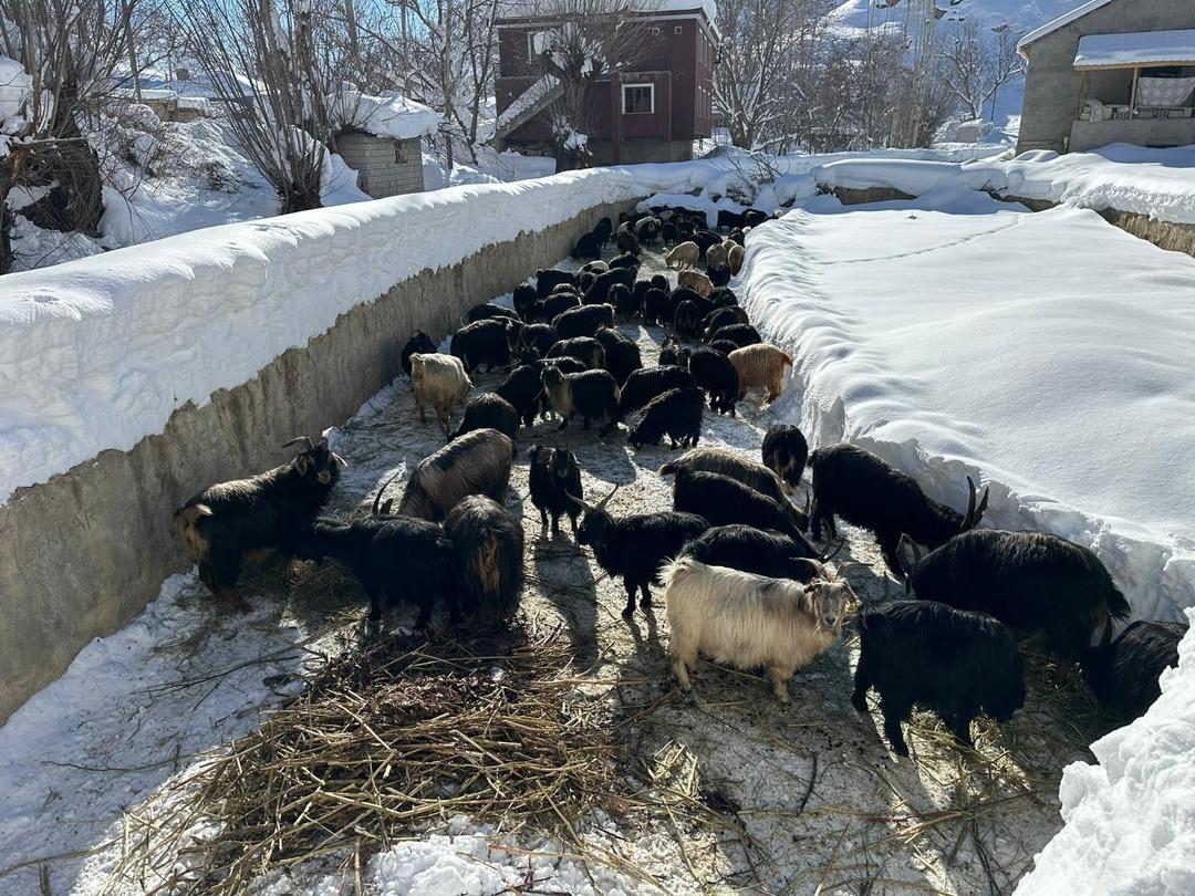 G&ouml;r&uuml;nt&uuml;ler T&uuml;rkiye den! Evlere kardan t&uuml;nel yaparak ulaşıyorlar 2