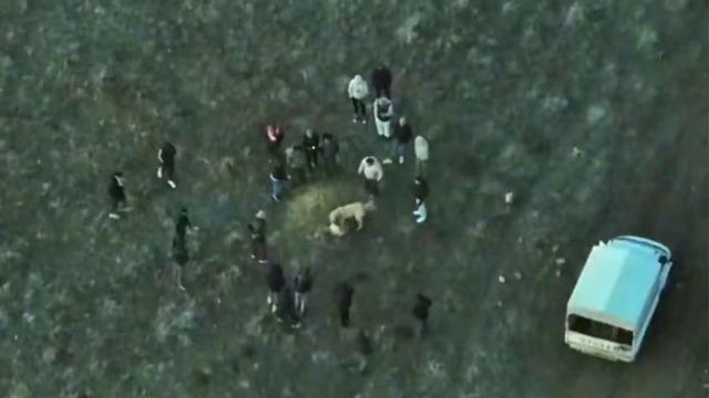 Köpek dövüştüren şahıslara jandarmadan dronlu baskın